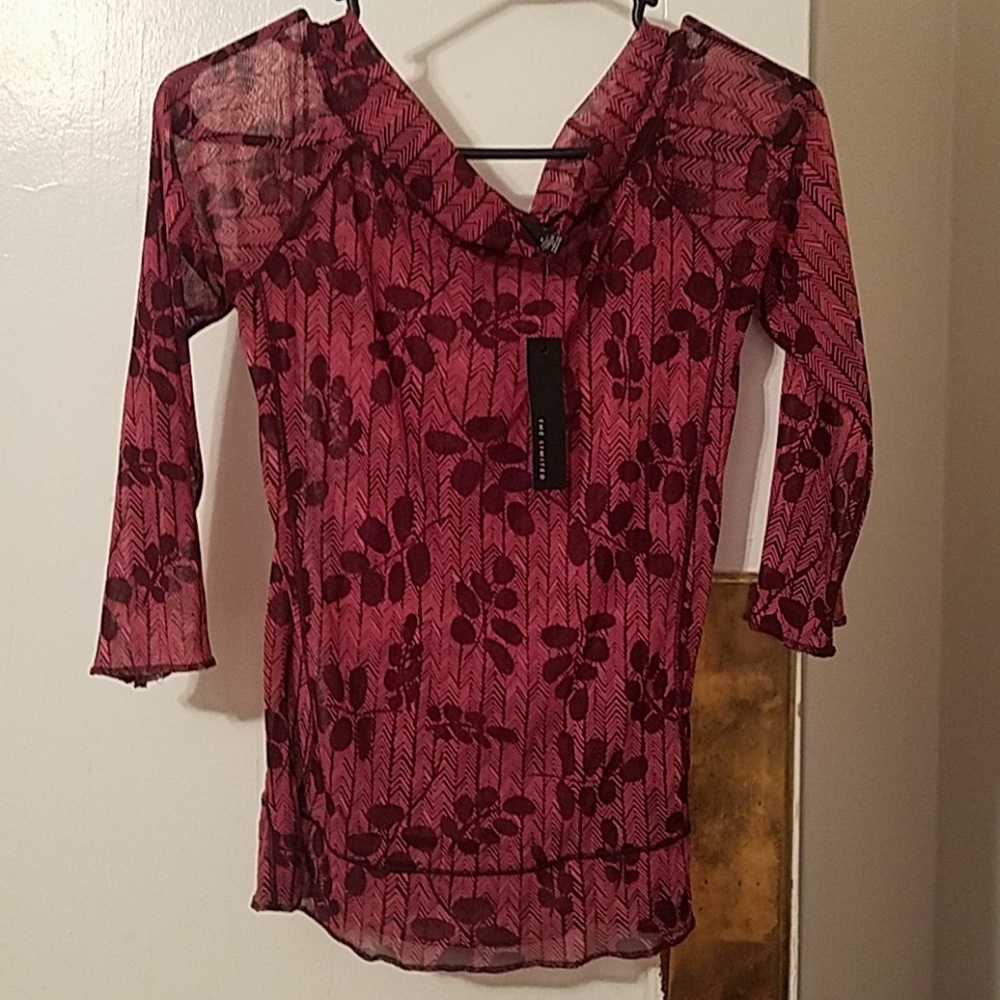 The Limited Sheer Blouse